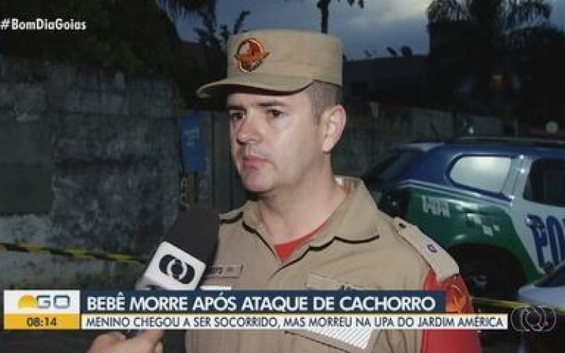 Pit bull que matou bebê o pegou do colo da mãe, diz bombeiro