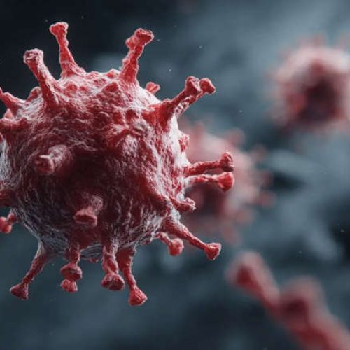 Pandemia global mais letal do que a covid-19 poderá matar milhões de pessoas