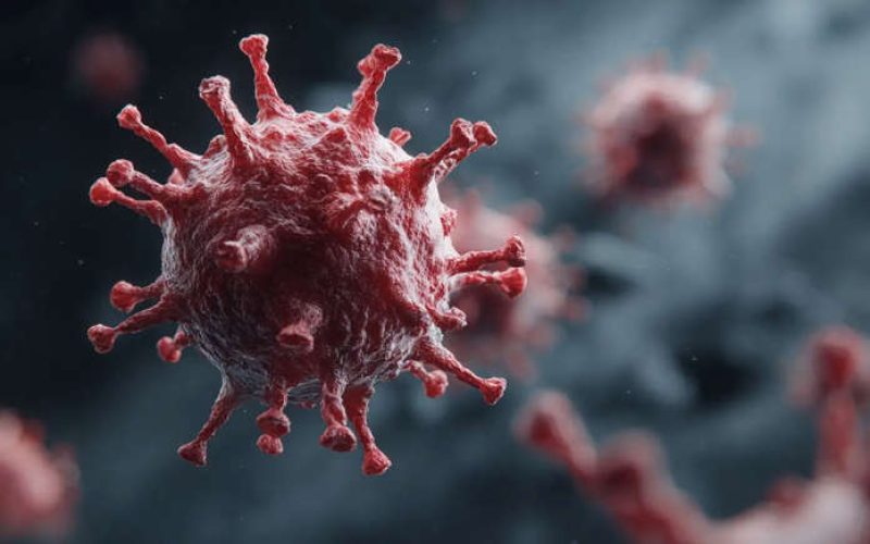 Pandemia global mais letal do que a covid-19 poderá matar milhões de pessoas