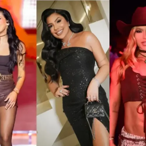 Comentário de amiga de Ana Castela gera confusão com Virginia Fonseca