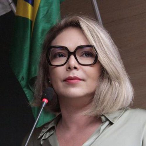“Precisamos mudar de vez esse Congresso”, desabafa Liana Cirne Lins