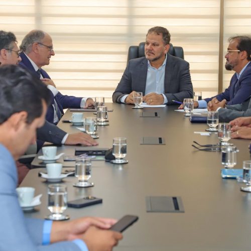 Governo do Tocantins apresenta oportunidades para  investidores internacionais