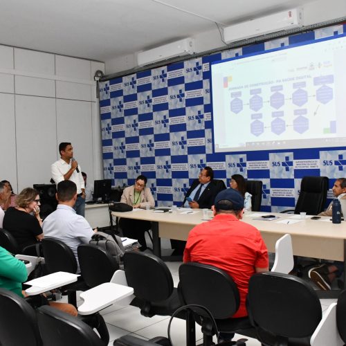 Governo do Tocantins apresenta Plano de Transformação Digital do SUS no Conselho Estadual de Saúde