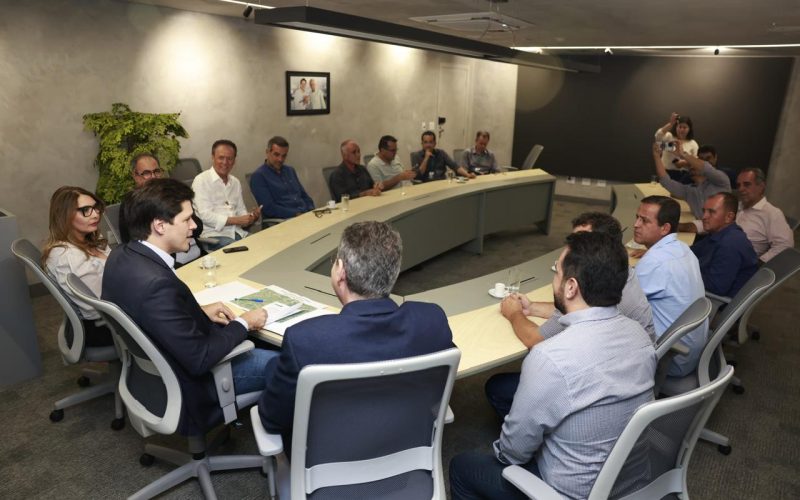 Daniel Vilela coordena tratativas para pavimentação das GO-338 e GO-438, no Vale do São Patrício