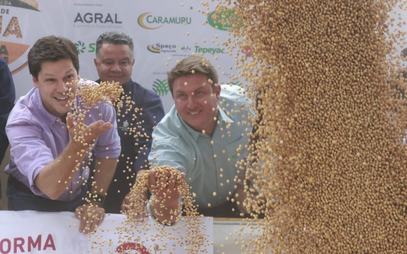 Daniel Vilela abre colheita da safra de soja 2024/2025