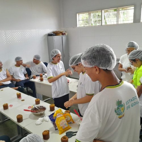 Governo de Goiás abre 2 mil vagas em cursos gratuitos de Páscoa nos Colégios Tecnológicos 