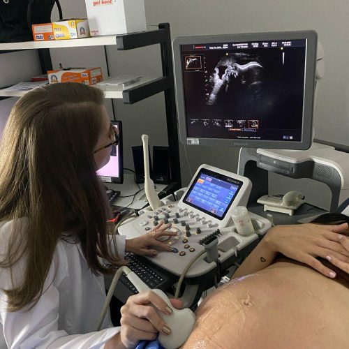 Goiás investe R$ 4 milhões em pesquisa aplicada à saúde