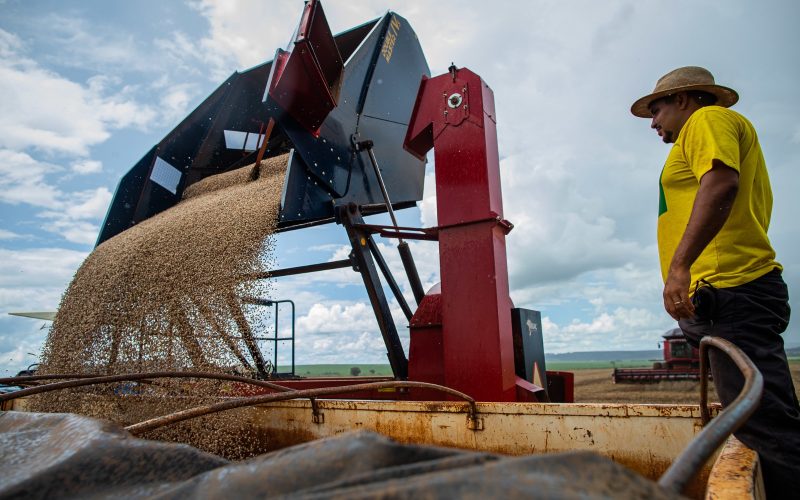 Goiás deve colher safra recorde em 2025