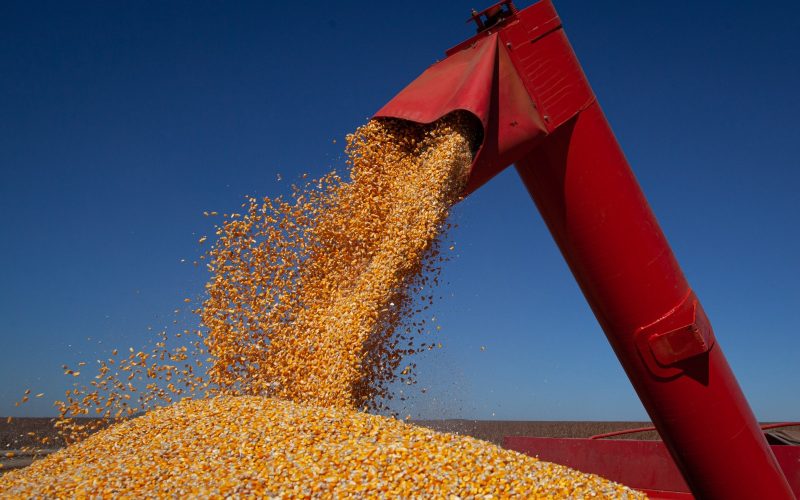 Economia: Goiás deve colher 38,4 milhões (Recorde) de toneladas de grãos em 2025