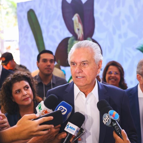 “Em Goiás, conciliamos desenvolvimento e preservação ambiental”, afirma Caiado
