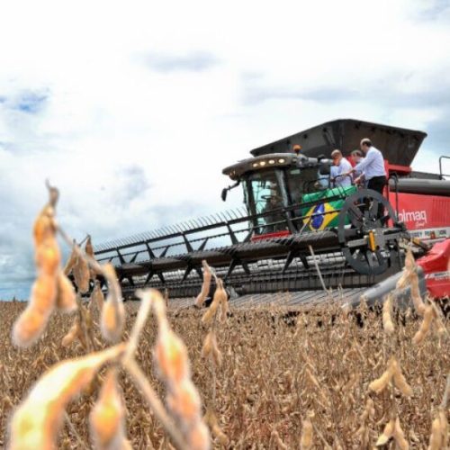 Goiás registra superávit de US$ 3,2 bilhões na balança comercial