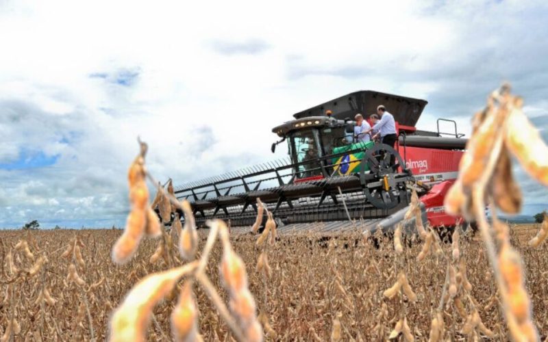 Goiás registra superávit de US$ 3,2 bilhões na balança comercial