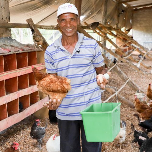 Governo de Goiás realiza pesquisa para mapear a agricultura familiar no estado