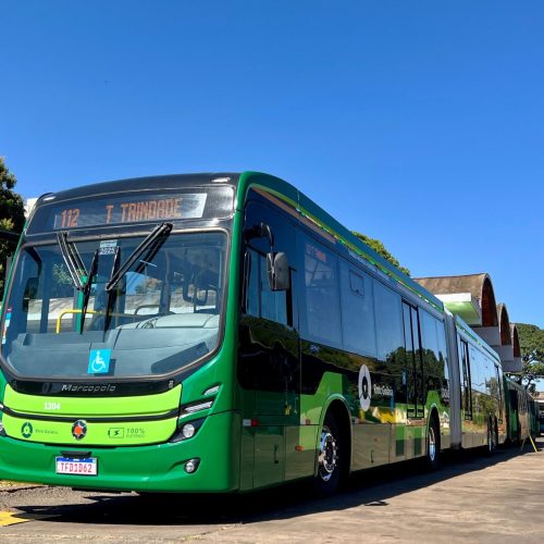 Governo de Goiás amplia número de viagens do transporte coletivo para atender romeiros de Trindade