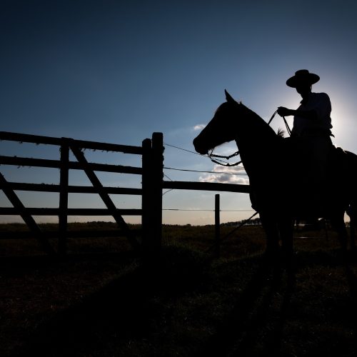 FCO Rural ultrapassa R$ 1 bilhão em financiamentos aprovados em 2025