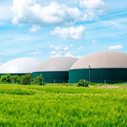 Governo de Goiás destina até R$ 2 milhões para projetos de transição energética no campo 