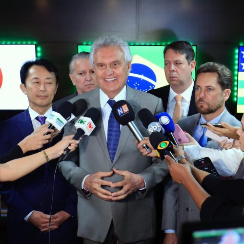 Goiás e Japão avançam em cooperação para exploração e processamento de terras raras