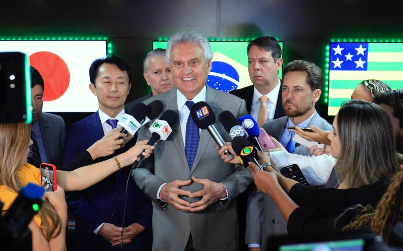 Goiás e Japão avançam em cooperação para exploração e processamento de terras raras
