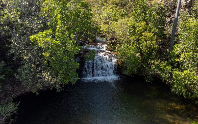 Goiás remunera produtores rurais que preservam o cerrado