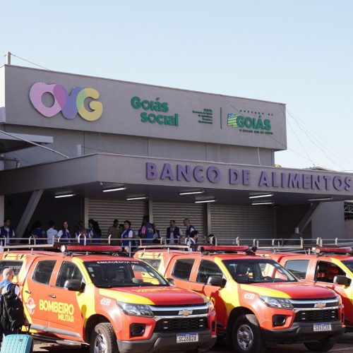 Operação Goiás Alerta e Solidário inicia entregas de benefícios