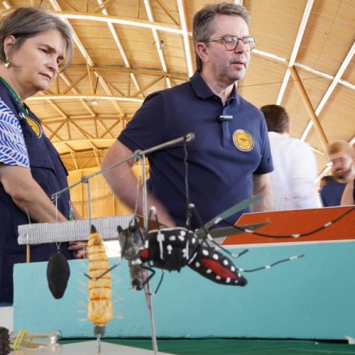 Governo de Goiás realiza Dia D de Mobilização Nacional contra a Dengue