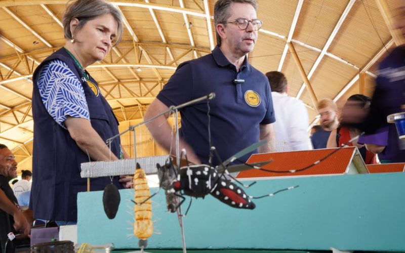 Governo de Goiás realiza Dia D de Mobilização Nacional contra a Dengue