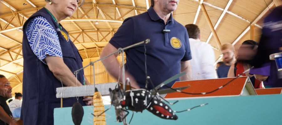 Governo de Goiás realiza Dia D de Mobilização Nacional contra a Dengue