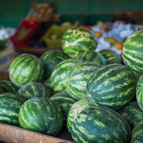 Goiás lidera produção nacional de melancia e alcança recorde em valor da produção