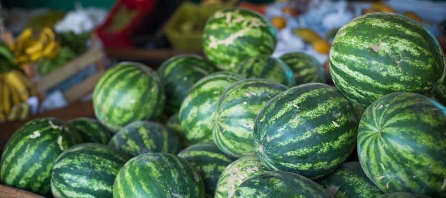 Goiás lidera produção nacional de melancia e alcança recorde em valor da produção