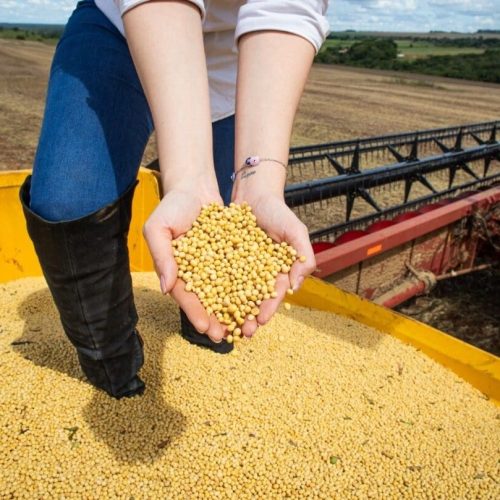 Impulsionado pelo agronegócio e indústria, PIB de Goiás cresce 4,8% em 2023 e supera média nacional