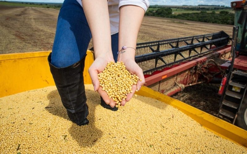 Impulsionado pelo agronegócio e indústria, PIB de Goiás cresce 4,8% em 2023 e supera média nacional