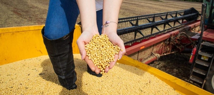 Impulsionado pelo agronegócio e indústria, PIB de Goiás cresce 4,8% em 2023 e supera média nacional