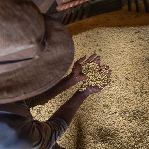 Goiás encerra 2025 com superávit de mais de US$ 8 bilhões na balança comercial