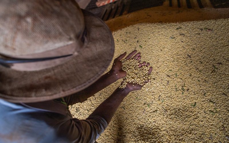 Goiás encerra 2025 com superávit de mais de US$ 8 bilhões na balança comercial