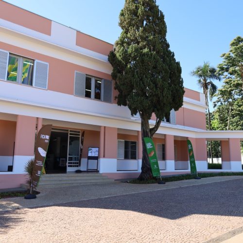 Secult Goiás abre inscrições para Programa Goyazes 2026