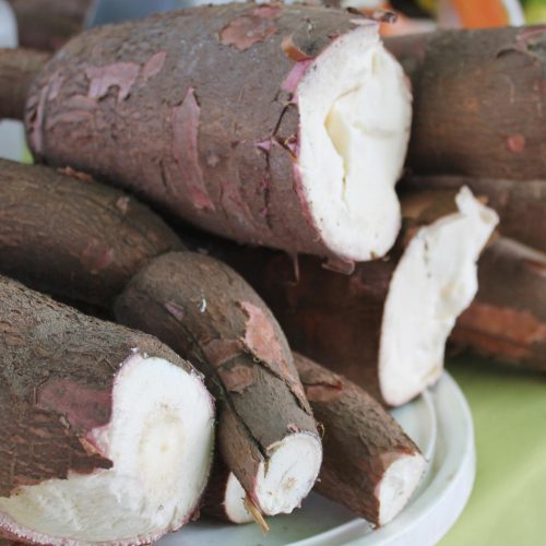 Produção de mandioca cresce em Goiás e impulsiona o setor