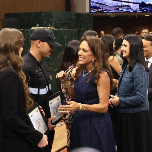 Gracinha Caiado destaca atuação de servidores no Goiás Social em sessão de homenagem na Alego