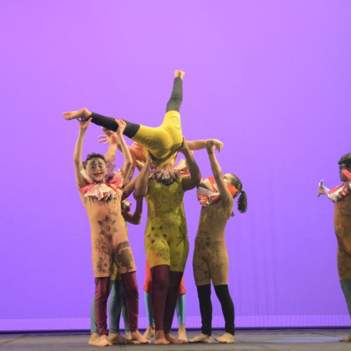 Alunos do Basileu França apresentam dois espetáculos de circo