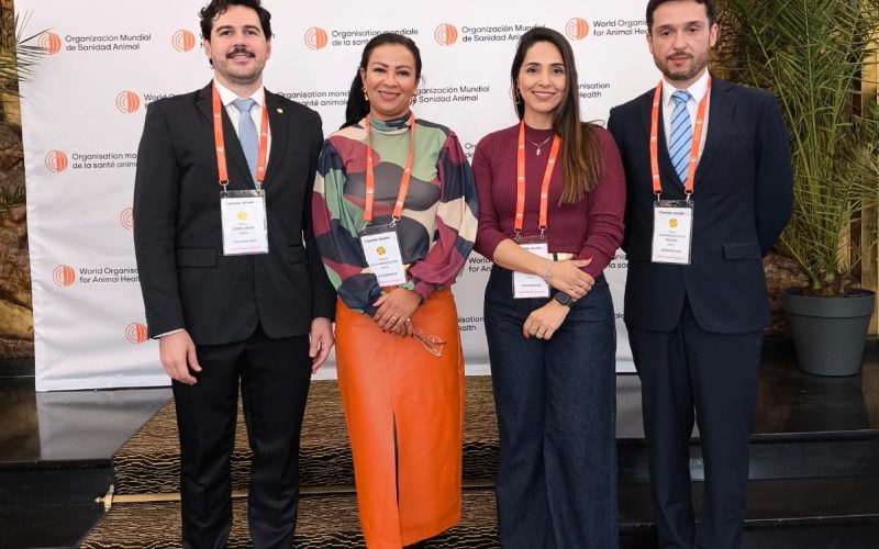 Reconhecimento internacional: Goiás é oficialmente zona livre de febre aftosa sem vacinação