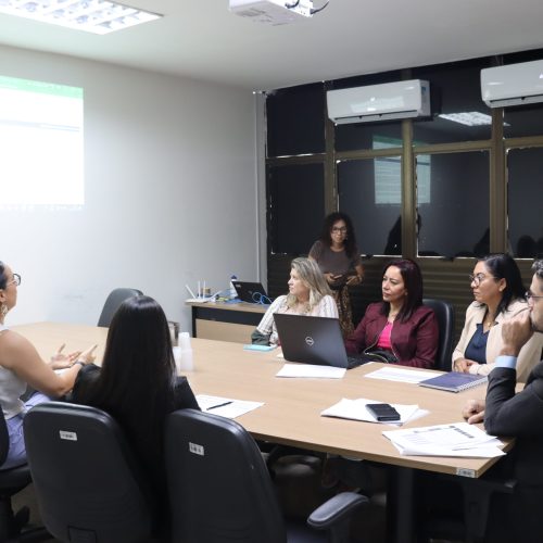 SSP/TO e Secretaria da Mulher debatem planejamentopara enfrentamento da violência contra a mulher