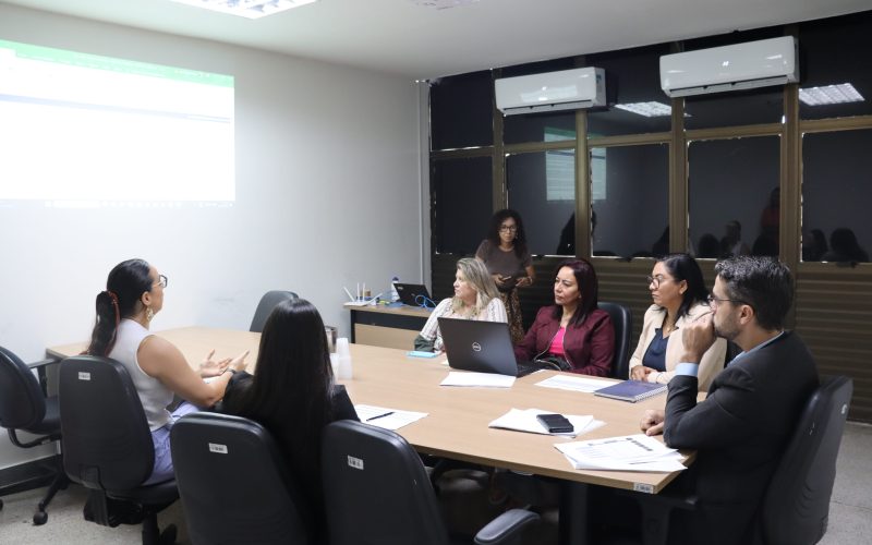 SSP/TO e Secretaria da Mulher debatem planejamentopara enfrentamento da violência contra a mulher