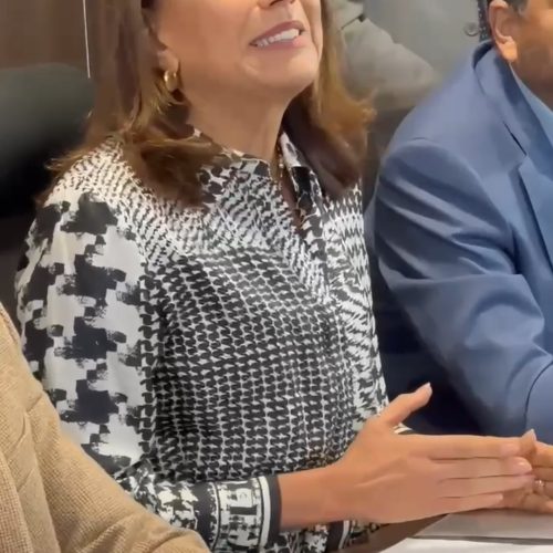 Gracinha Caiado apresenta novos programas sociais de Goiás na Alego