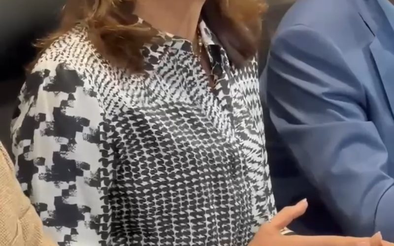 Gracinha Caiado apresenta novos programas sociais de Goiás na Alego