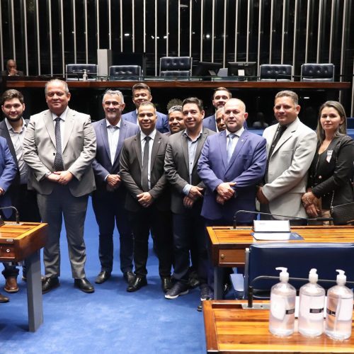 Senador Eduardo Gomes recebe Amélio Cayres e prefeitos tocantinenses para tratar de demandas municipais