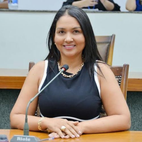 Deputados aprovam mais três leis que ampliam os direitos das mulheres no Tocantins