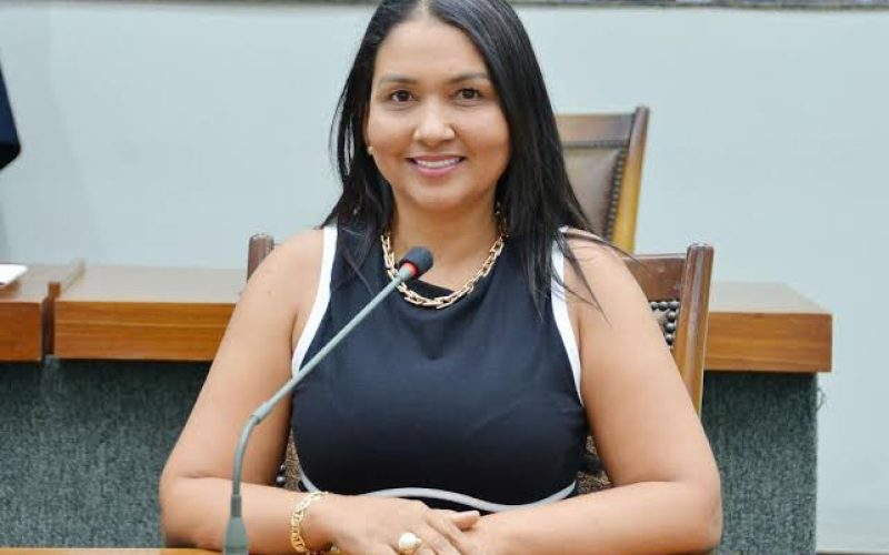 Deputados aprovam mais três leis que ampliam os direitos das mulheres no Tocantins