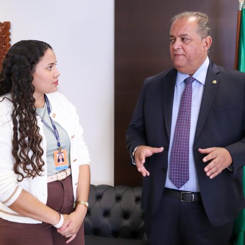 Vice-presidente do Senado, Eduardo Gomes recebe Jovem Senadora do Tocantins
