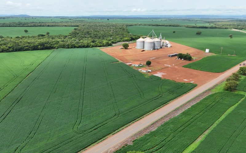  Líder no Estado, Porto Nacional exporta R$ 718 milhões em apenas três meses