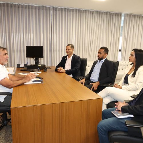 Presidente da Aleto discute leis para promoção da Igualdade Racial com secretário de Estado