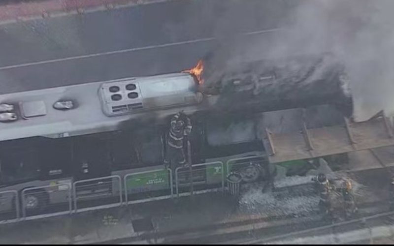 Avião de pequeno porte cai em São Paulo